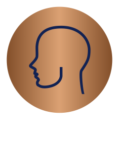 Color logo - no background