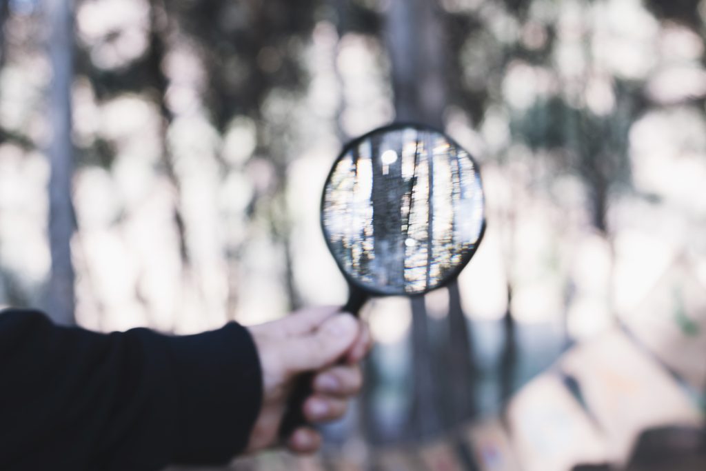 crop-hand-holding-magnifying-glass-forest